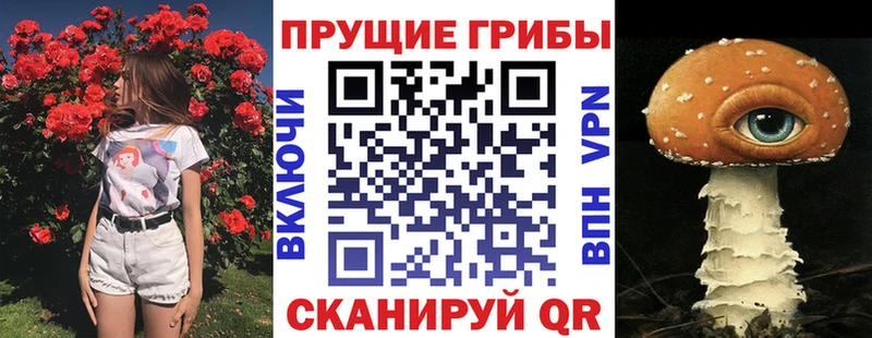 Галлюциногенные грибы мицелий  закладка  Опочка 